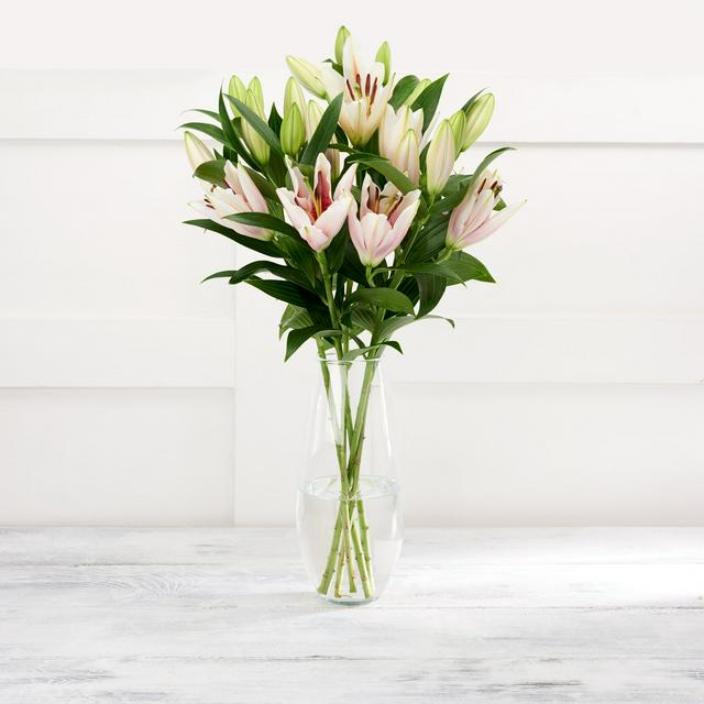 Sainsbury's Pink Oriental Lilies Bouquet | Sainsbury's