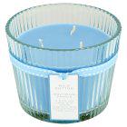 Sainsbury's Wild Cotton Multiwick Candle - gallery image 1