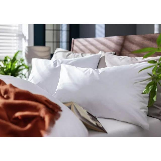 Sainsbury's online Grocery Shopping and Fresh Food Delivery