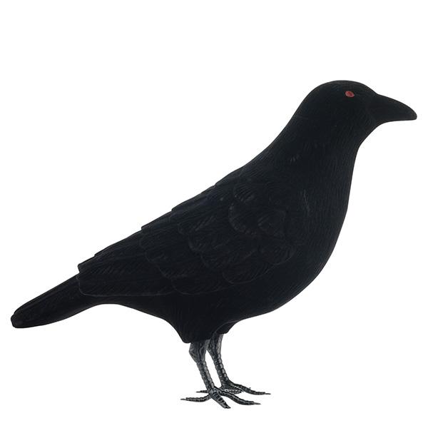 Sainsbury's Halloween Black Raven - gallery image 1
