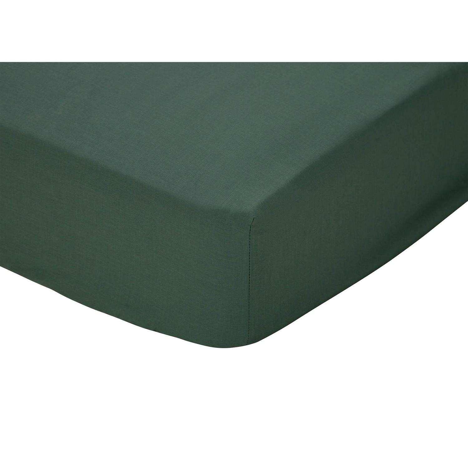 Sainsbury's online Grocery Shopping and Fresh Food Delivery