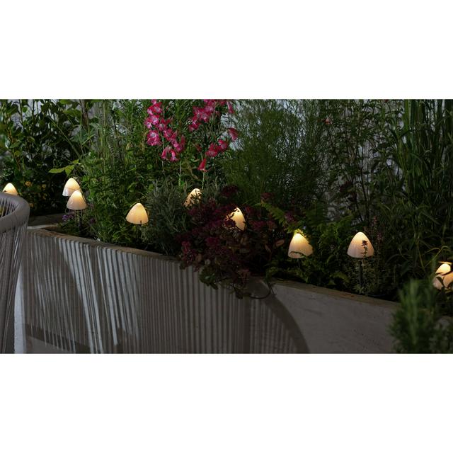 Habitat Sainsbury's Home Mini Mushroom Solar Stake Lights