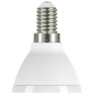 Sainsbury's Home Pack of 2 LED Mini Globe 60W Daylight SES Light Bulb - gallery image 2