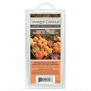 Yankee Wax Melts Pumpkin Harvest