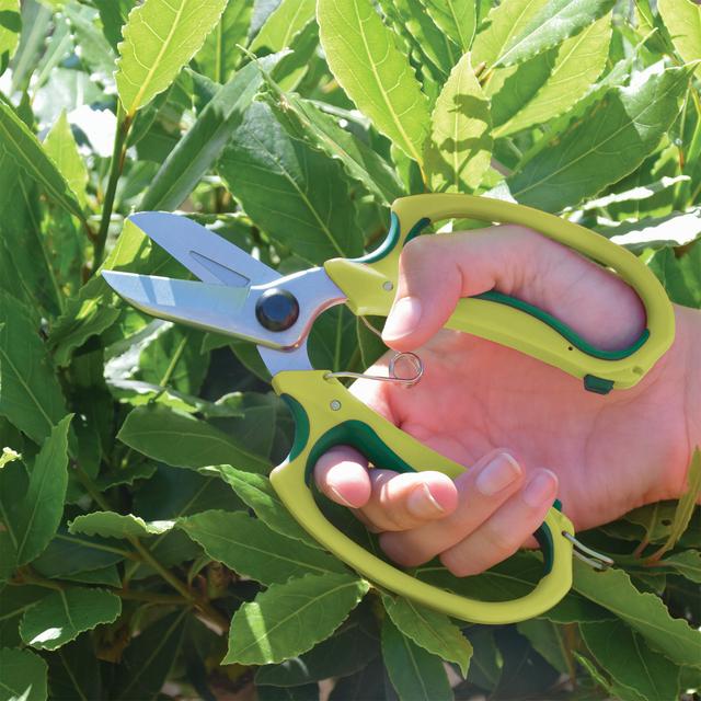 Sainsburys garden store shears