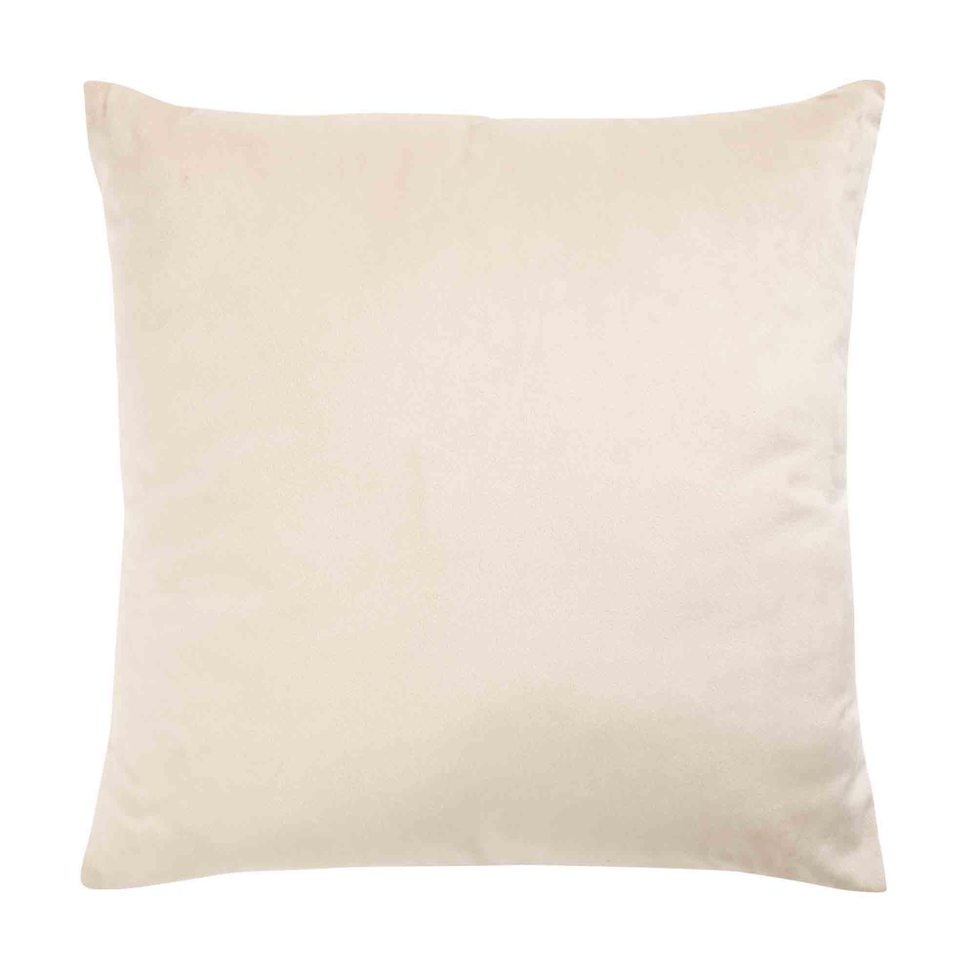 Sainsbury's online Grocery Shopping and Fresh Food Delivery