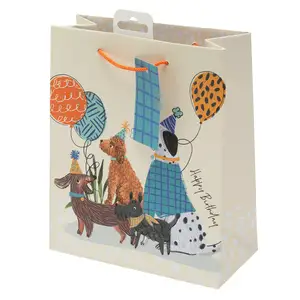 Sainsbury's Dogs Happy Birthday Medium Present Gift Bag Birthday Celebration