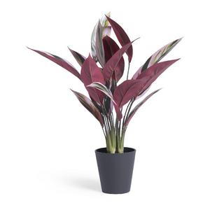 Habitat Artificial Large Stromanthe Tricolor Plant - gallery image 3
