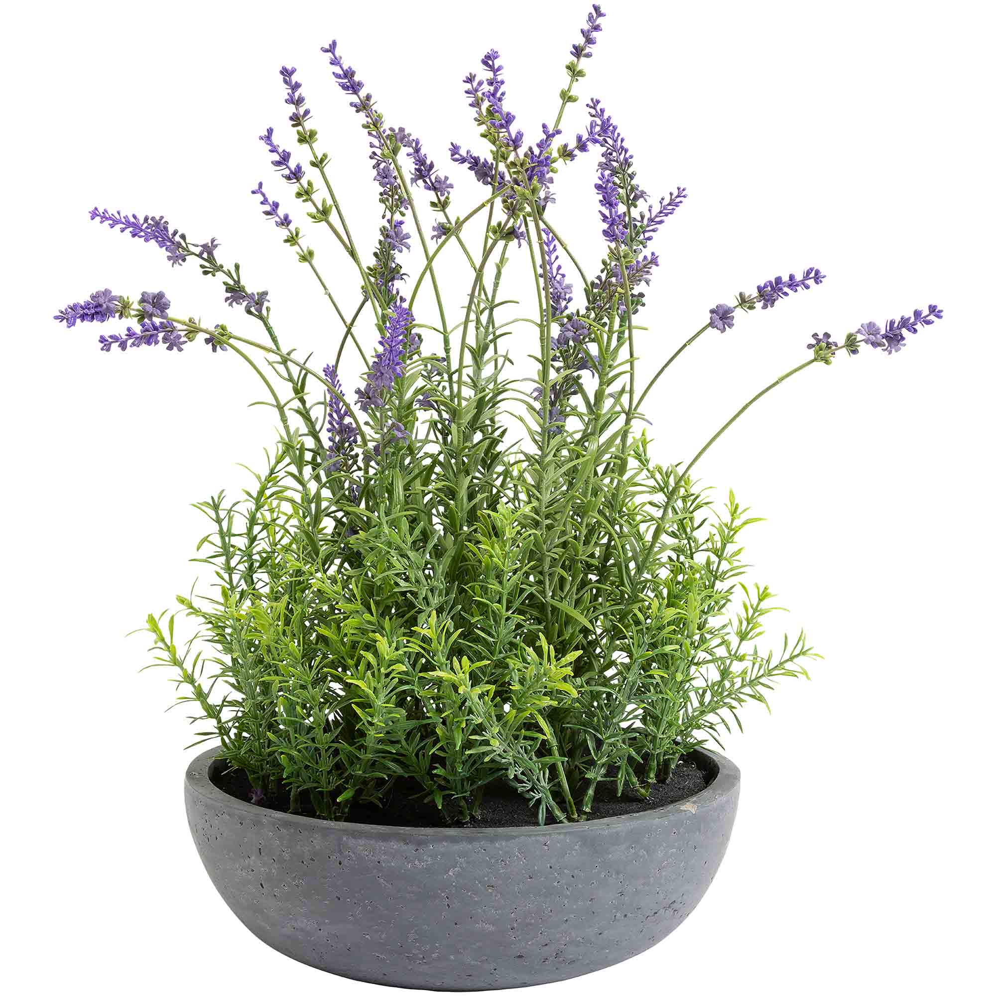 Sainsbury's online Grocery Shopping and Fresh Food Delivery