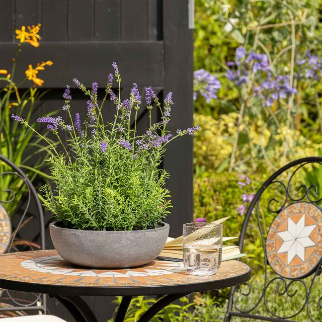 Sainsbury's online Grocery Shopping and Fresh Food Delivery