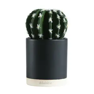 Habitat Faux Succulent In Dipped Pot