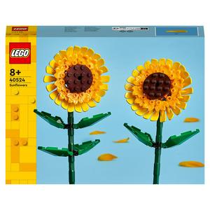 LEGO Botanicals Petite Sunny Bouquet 10347