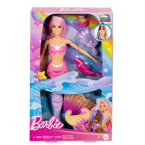 Barbie Doll & Accessories