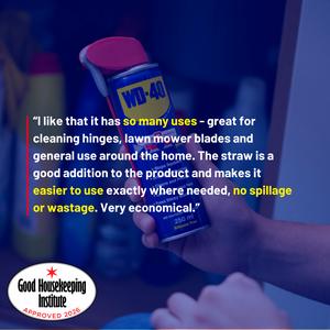 WD-40 Smart Straw 250ml - gallery image 2