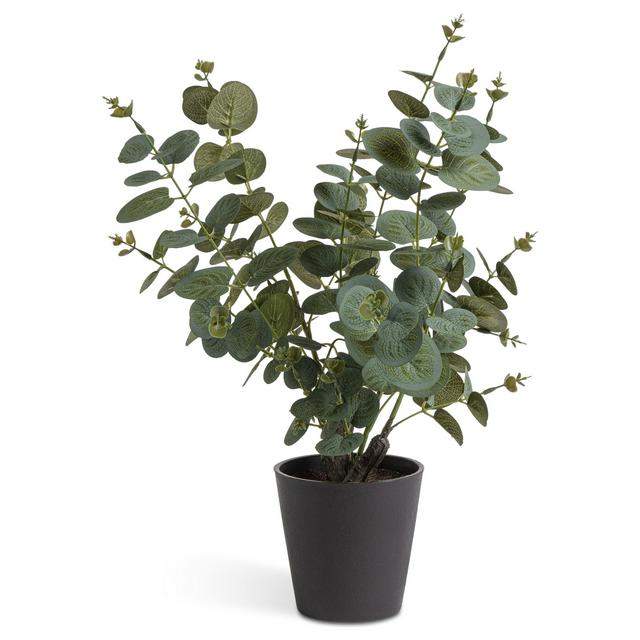 Habitat Artificial Large Eucalyptus Plant in Matte Black Pot