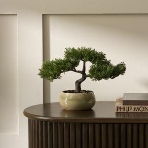 Sainsbury's Home Bonsai Tree in Ceramic Glaze Pot - gallery image 2