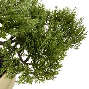 Sainsbury's Home Bonsai Tree in Ceramic Glaze Pot - gallery image 3
