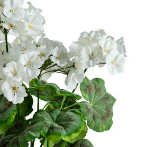 Sainsbury's Home Geranium in Ceramic Pot - gallery image 3
