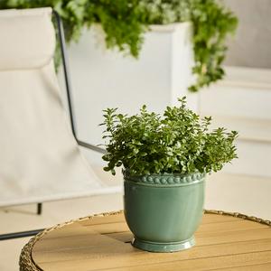 Sainsbury's Home Bobble Scalloped Planter - gallery image 2