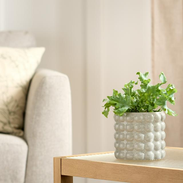 Sainsburys Habitat Stoneware Bobble Medium Planter