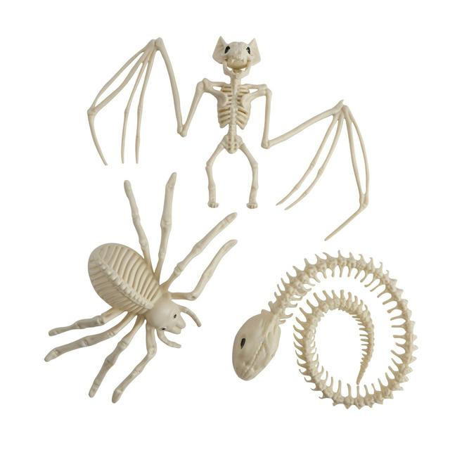 Sainsbury's Home Mini Skeletons Assortment - gallery image 1