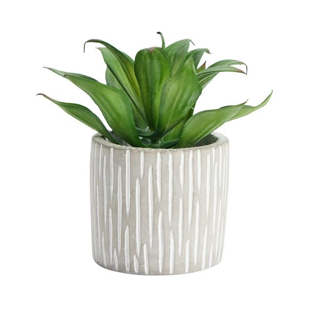 Sainsbury's Home Artificial Agave Succulent in Cement Pot - gallery image 1