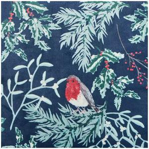 Sainsbury's Home Velvet Robin Ruffle Cushion - Blue - gallery image 5