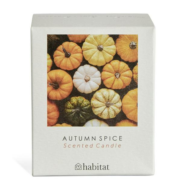 Habitat Autumn Spice Boxed Candle - gallery image 1