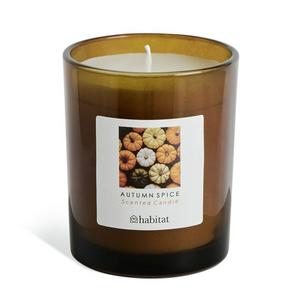 Habitat Autumn Spice Boxed Candle - gallery image 2