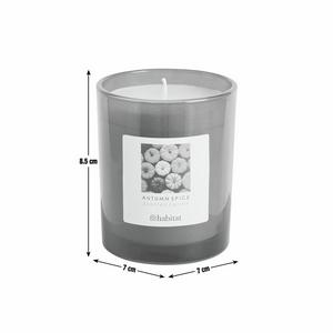 Habitat Autumn Spice Boxed Candle - gallery image 4