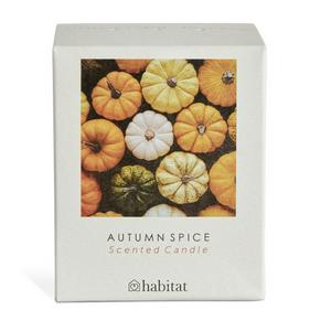 Habitat Autumn Spice Boxed Candle