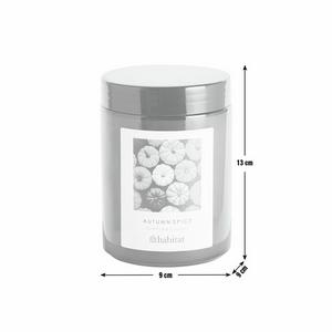 Habitat Autumn Spice Jar Candle - gallery image 4