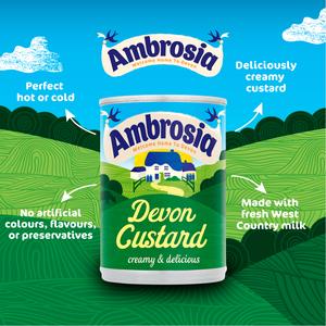 Ambrosia Devon 400g Custard Dessert Can - gallery image 2