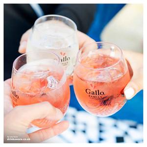 Gallo Family White Grenache Rosé Wine 75cl - gallery image 2