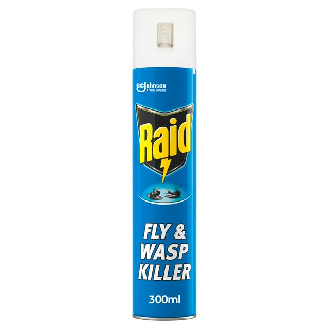 Raid Fly & Wasp Killer 300ml