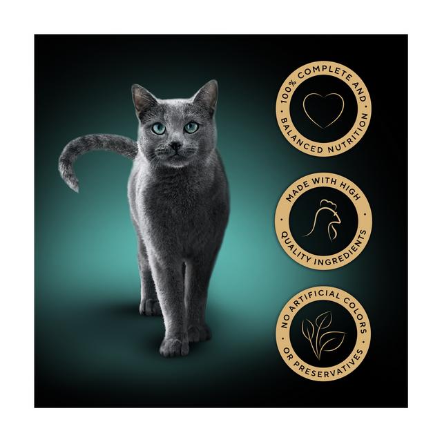 Sheba Classics Chicken in Terrine Wet Cat Food Tray 85g Sainsbury's