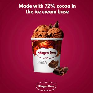 Haagen-Dazs Belgian Chocolate Ice Cream Frozen Dessert Tub 460ml - gallery image 2
