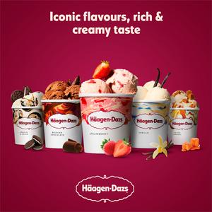 Haagen-Dazs Belgian Chocolate Ice Cream Frozen Dessert Tub 460ml - gallery image 3