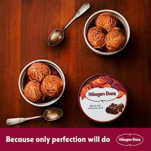 Haagen-Dazs Belgian Chocolate Ice Cream Frozen Dessert Tub 460ml - gallery image 5