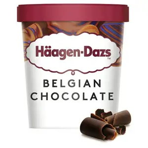 Haagen-Dazs Belgian Chocolate Ice Cream Frozen Dessert Tub 460ml