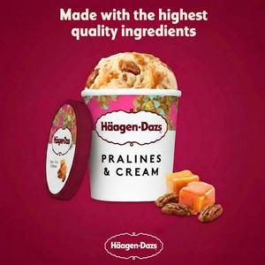 Haagen-Dazs Pralines & Cream Ice Cream 460ml - gallery image 2