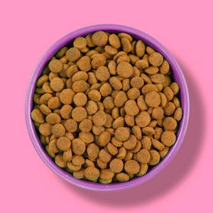 Wagg Wheat Free Complete Chicken Dry Dog Food 2kg - gallery image 4