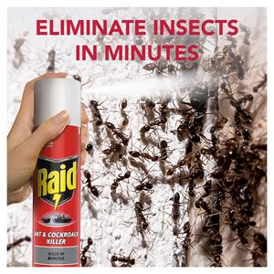 Raid Ant & Cockroach Insect Killer Aerosol Spray 300ml - gallery image 2