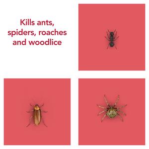 Raid Ant & Cockroach Insect Killer Aerosol Spray 300ml - gallery image 3