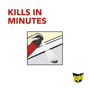 Raid Ant & Cockroach Insect Killer Aerosol Spray 300ml - gallery image 5