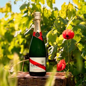 Mumm Cordon Rouge Champagne Brut, Non Vintage 75cl - gallery image 3