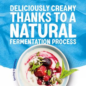 Alpro Plain Natural Soya Plant Based Yoghurt Alternative 500g - gallery image 5