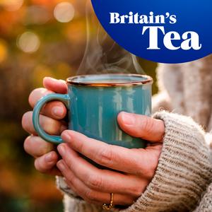 Tetley Everyday Tea Bags, Softpack x80 - gallery image 2