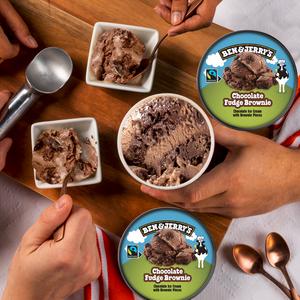 Ben & Jerry's Chocolate Fudge Brownie Ice Cream Tub 465ml - gallery image 2