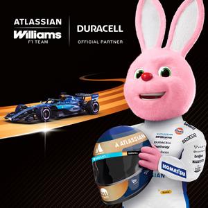 Duracell Plus Alkaline D Batteries, pack of 2 - gallery image 4